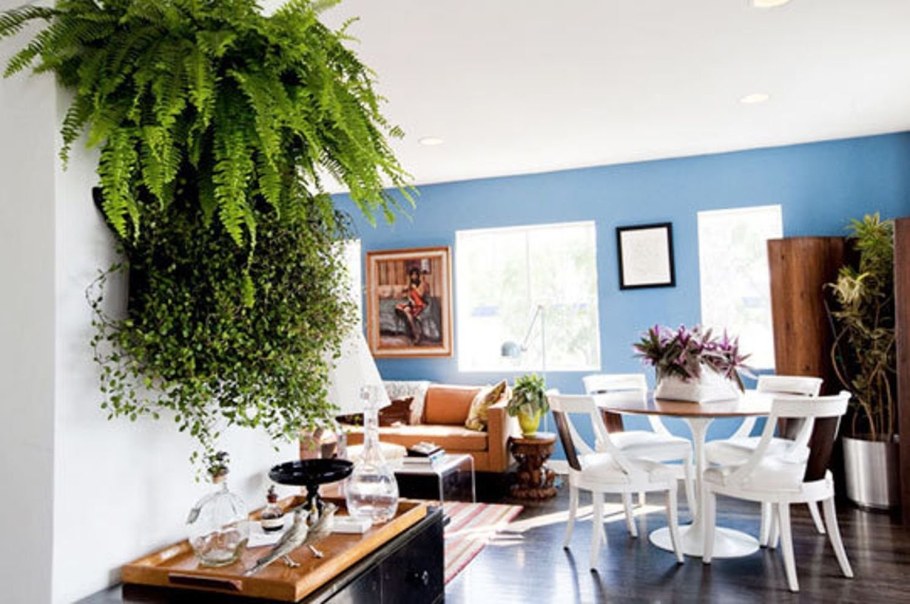 Растения в интерьере