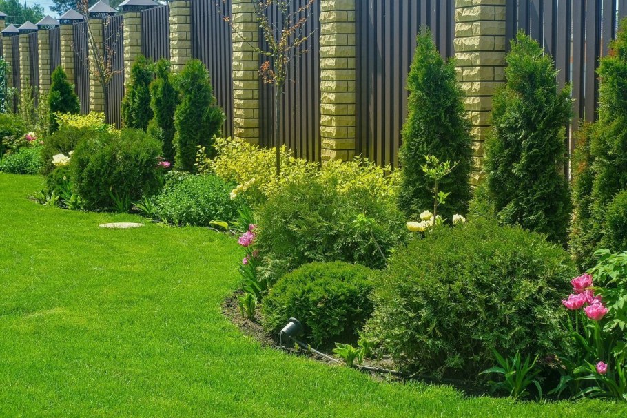 Теневой миксбордер вдоль забора