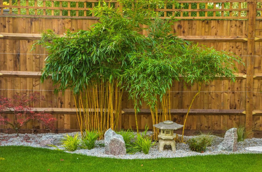 Bamboo Garden Кобулети