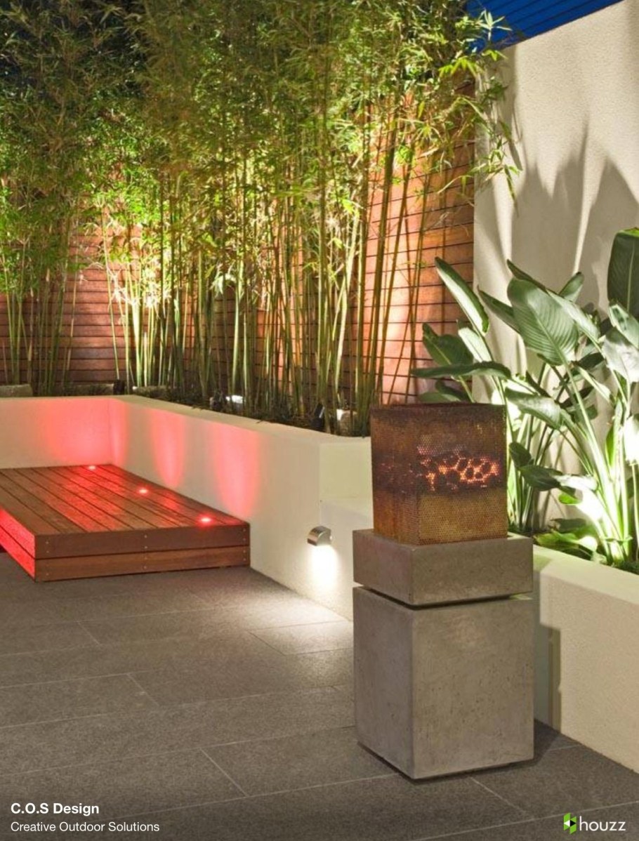 Бамбук в ландшафте