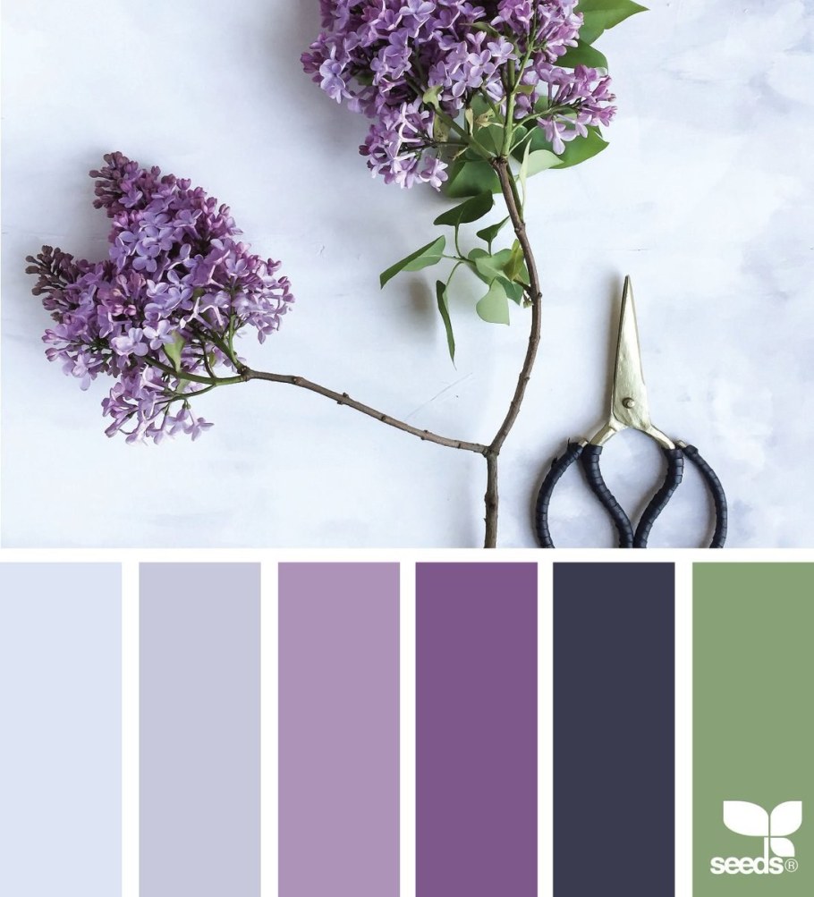 Лавандовый цвет палитра