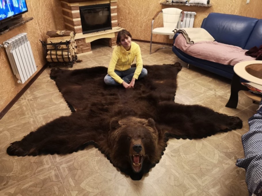 Коврик из шкуры медведя