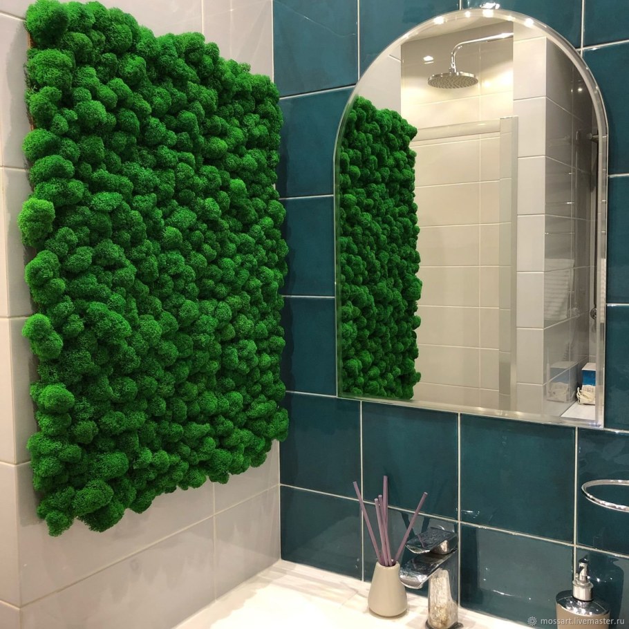 Мох ягель фитостена