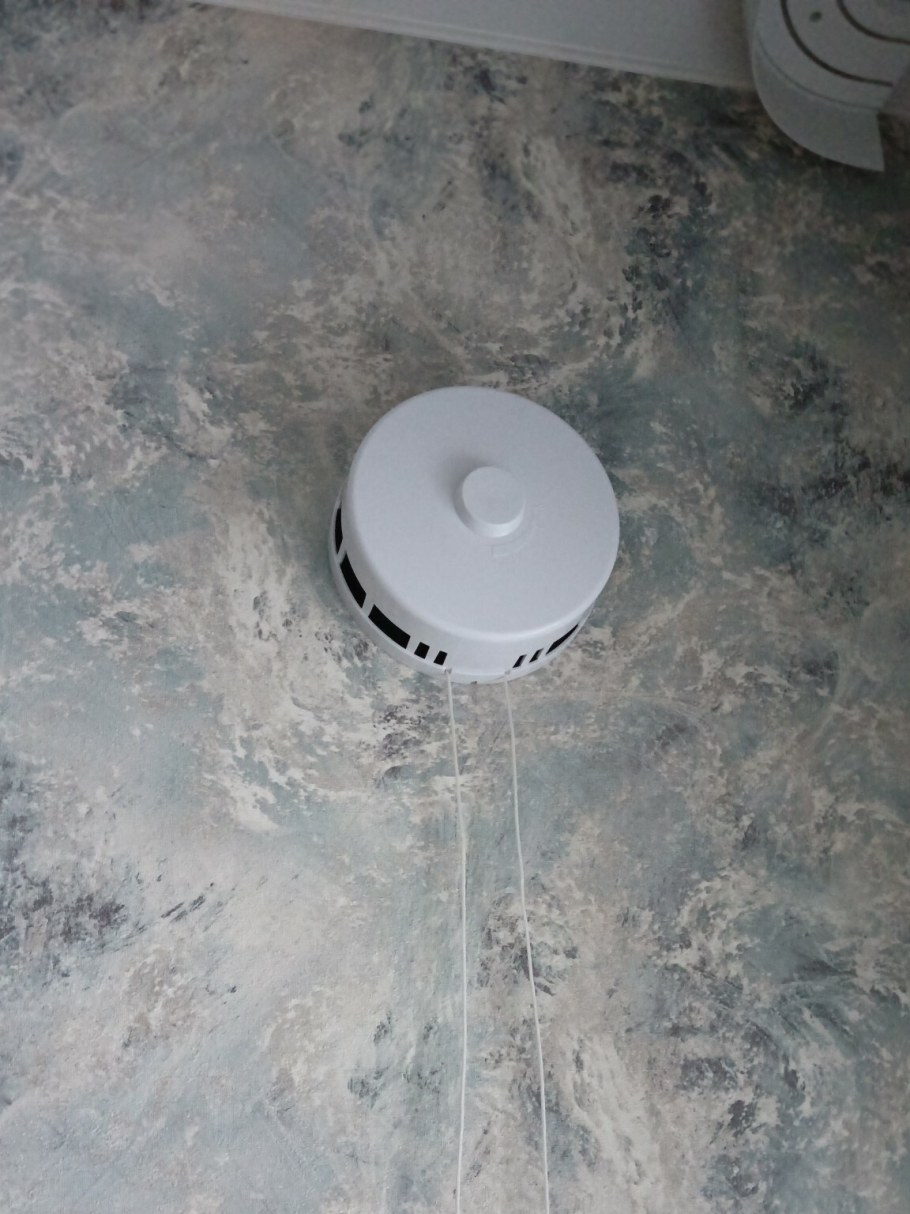 Альпийская форточка фото