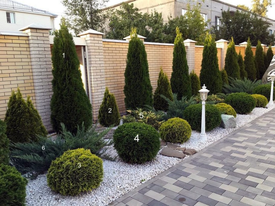 Туя Смарагд в ландшафтном