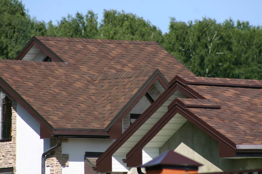 Готик береста Тегола