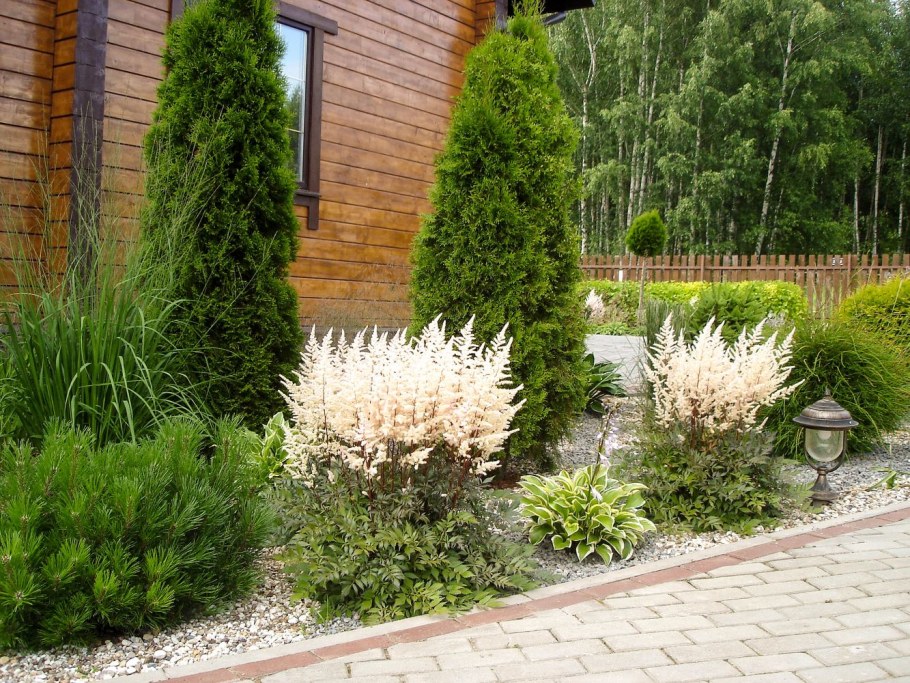 Клумба пузыреплодник спирея лапчатка чубушник Барбарис