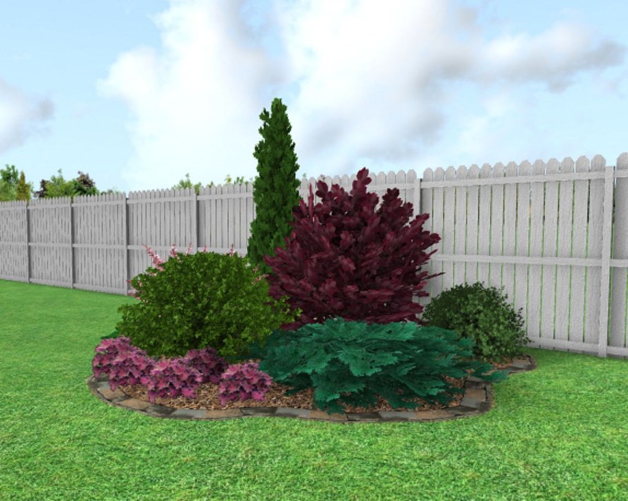 Миксбордер туя Барбарис