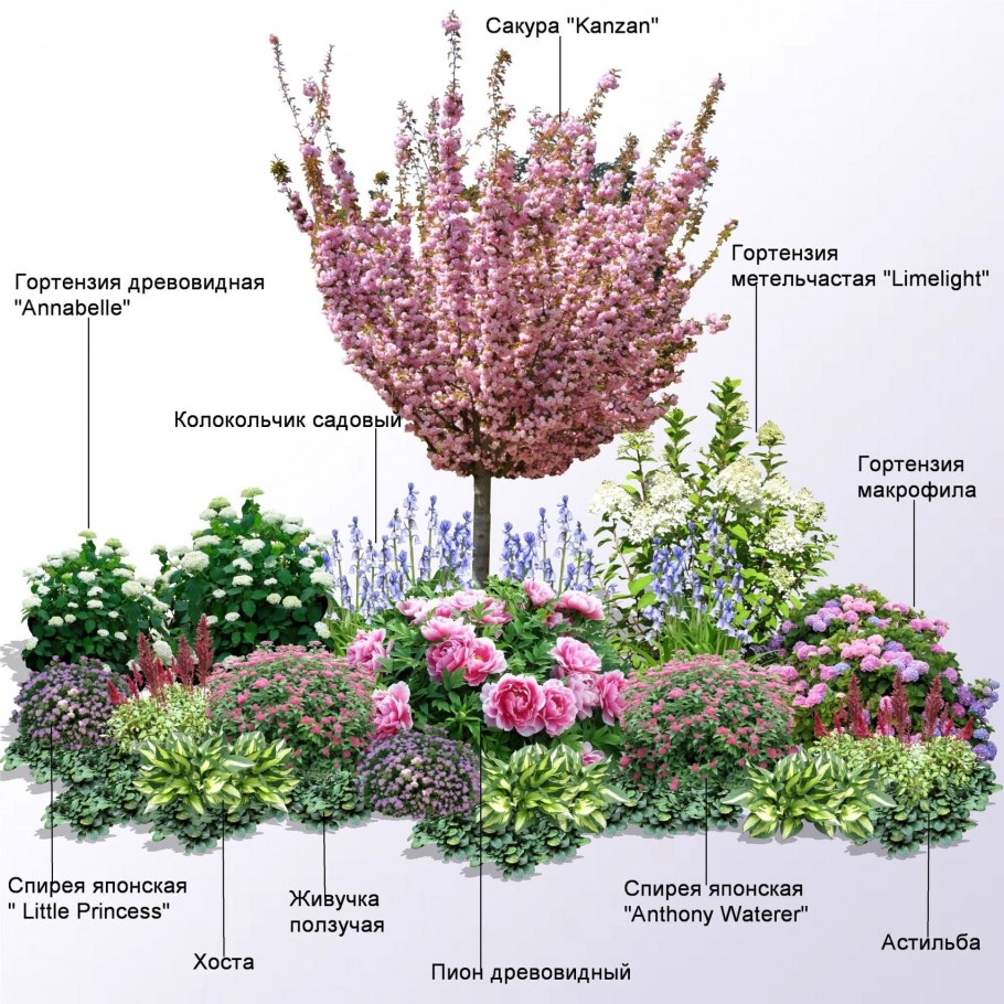 Миксбордер с можжевельником и барбарисом