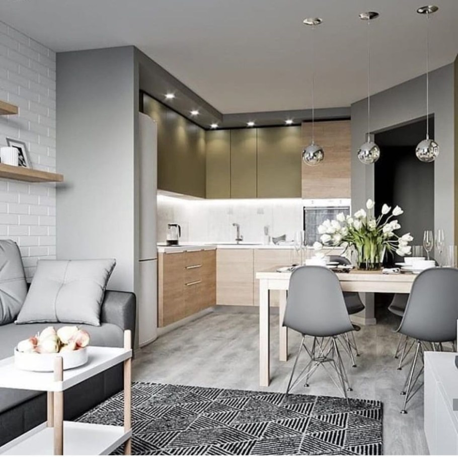 Пик кухня-гостиная 20кв