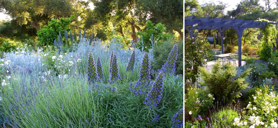 Перовския Blue Spire