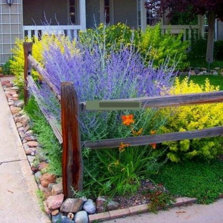 Перовския лебедолистная в ландшафтном дизайне