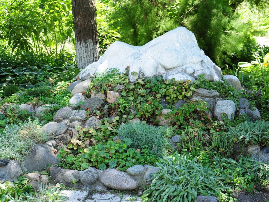 Альпинарий и рокарий