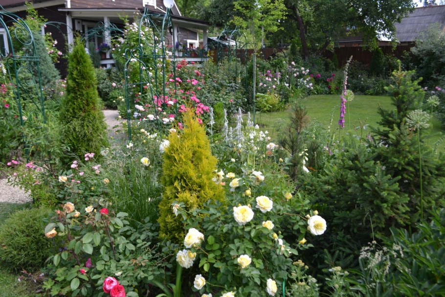 Роза Розария Югторсан