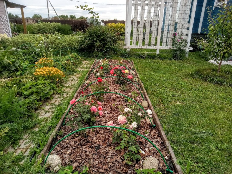 Планировка Розария на дачном участке