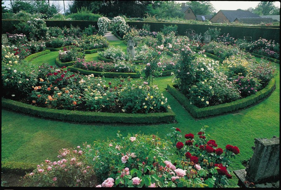 Розарий в боскете