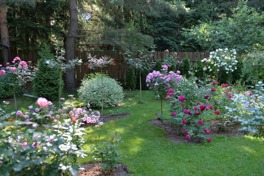 Розарии в Подмосковье