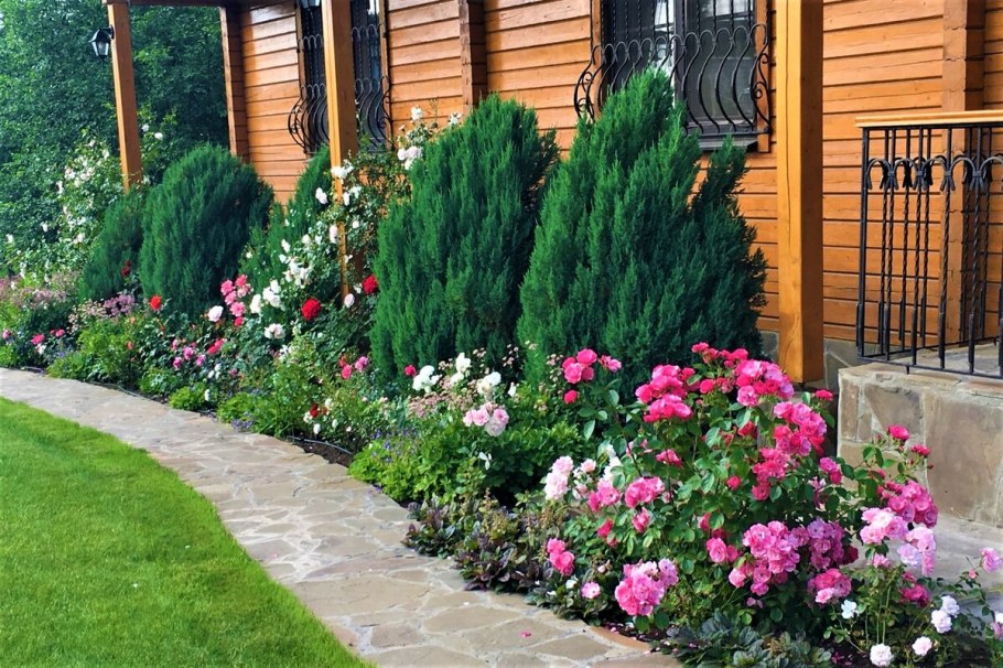 Гортензия Розариум Ютерсен