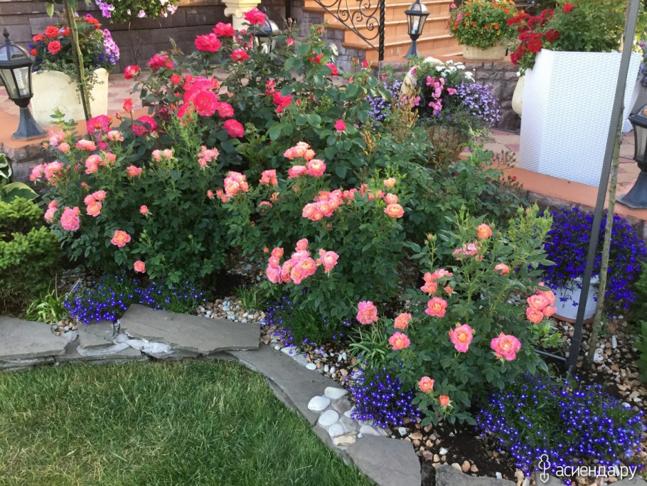 Розарий ландшафтный