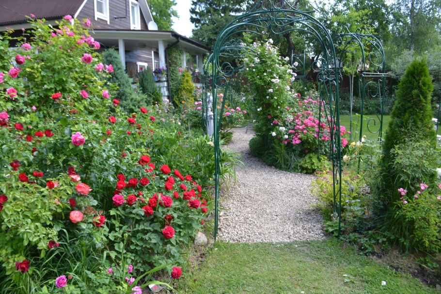 Сад роз Елены Лукьяновой