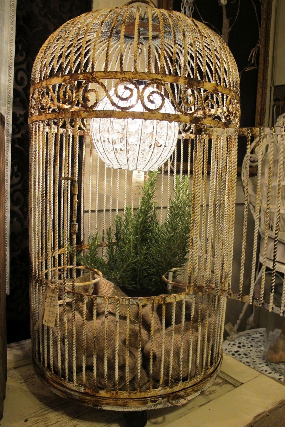 Птица в клетке