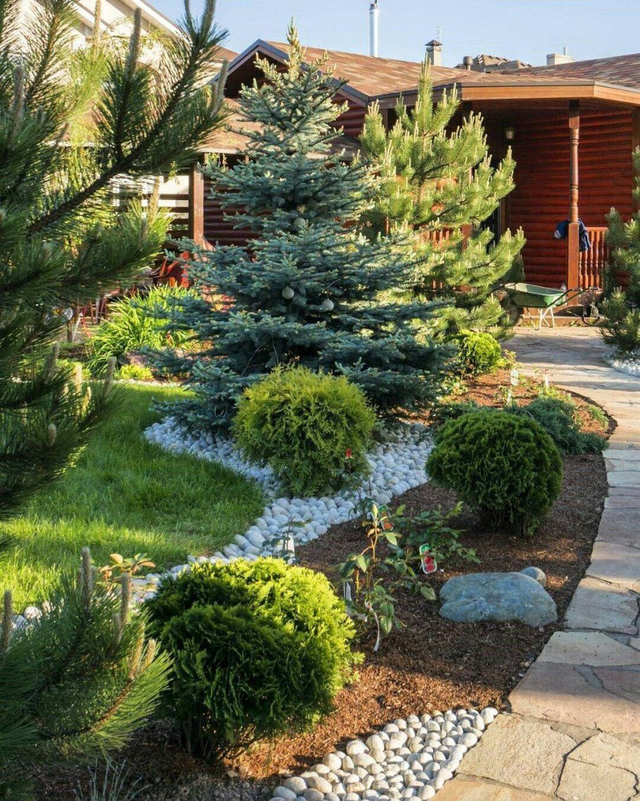 Горная сосна Кипарис ландшафт