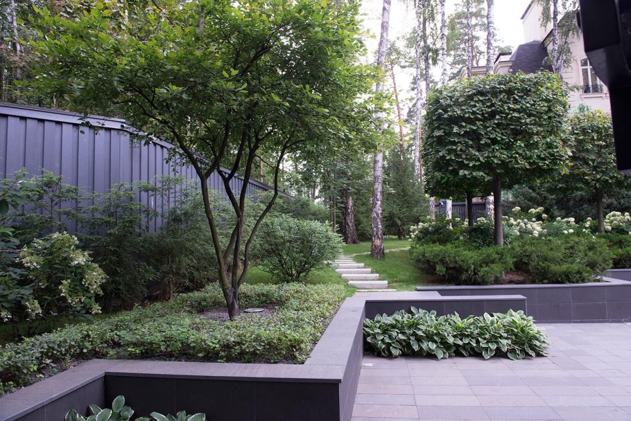 Ирга канадская Ламарка Живая изгородь