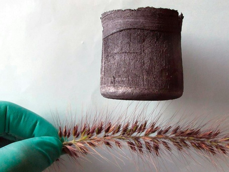 Графеновый аэрогель