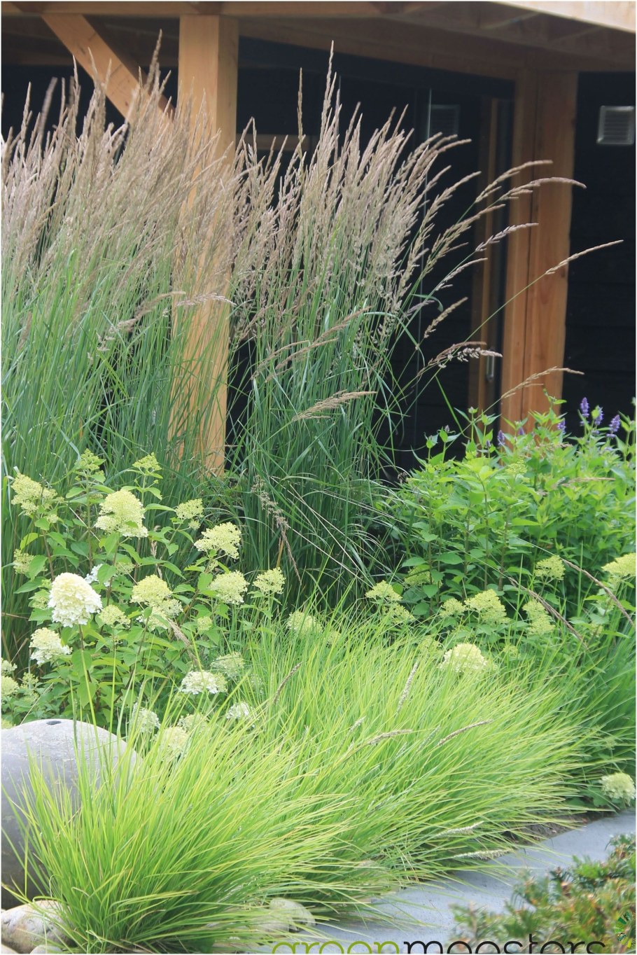 Молиния Карл Форестер