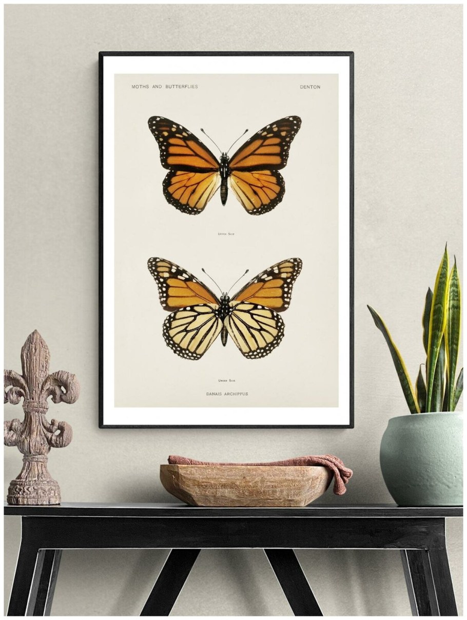 Картины с бабочками в интерьере