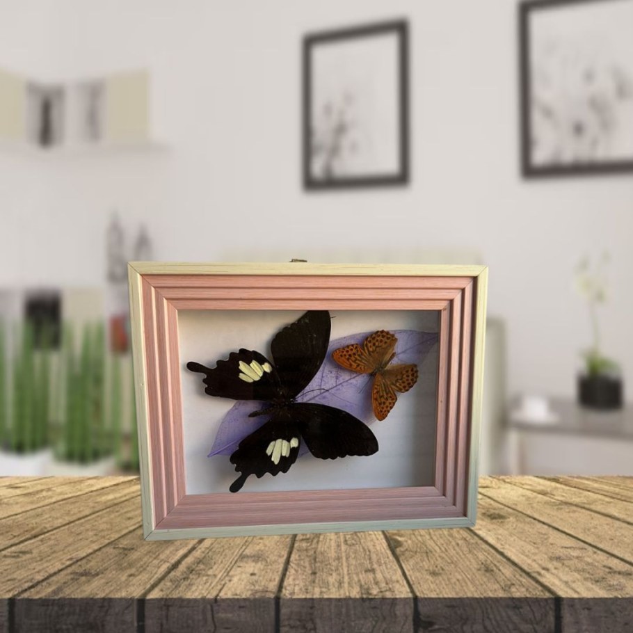 Картины с бабочками в интерьере