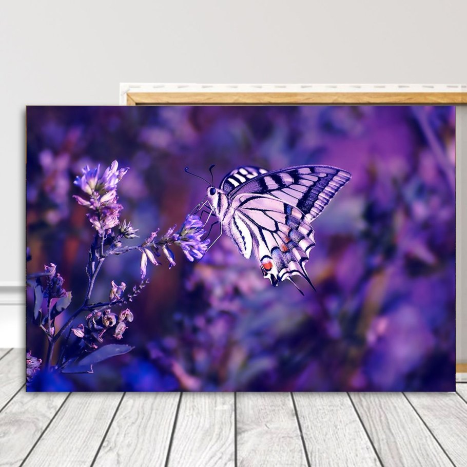 Картины с бабочками в интерьере