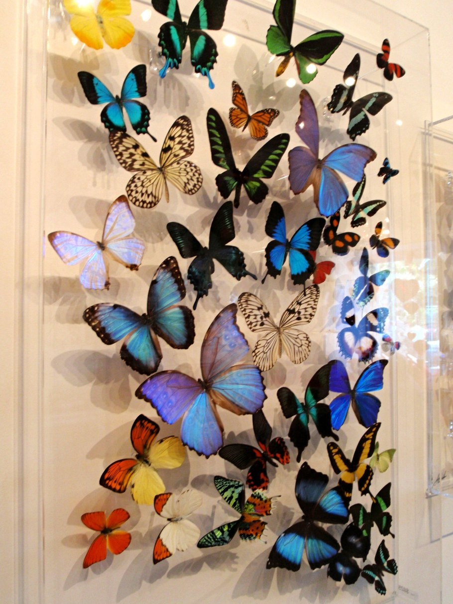 Бабочки для декора