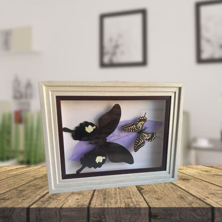 Картины с бабочками в интерьере