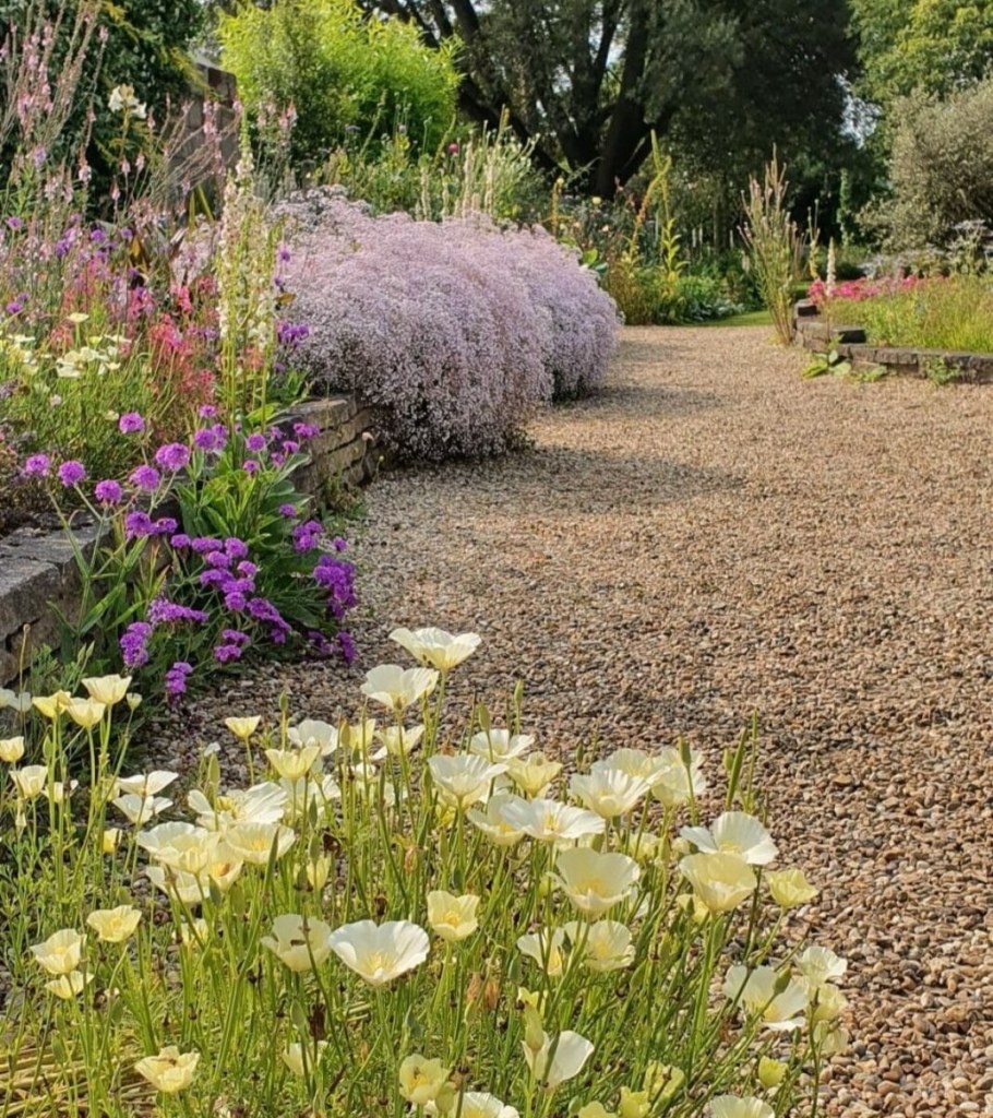 Эшшольция Мираж