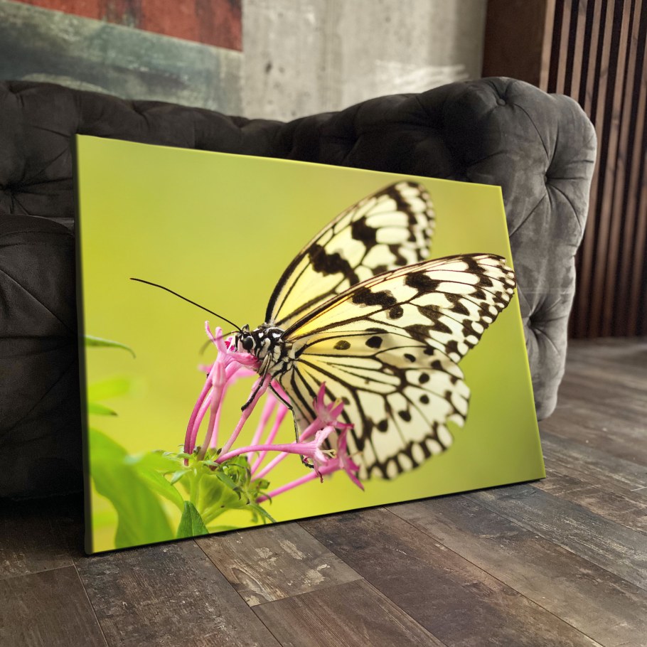 Картины с бабочками в интерьере
