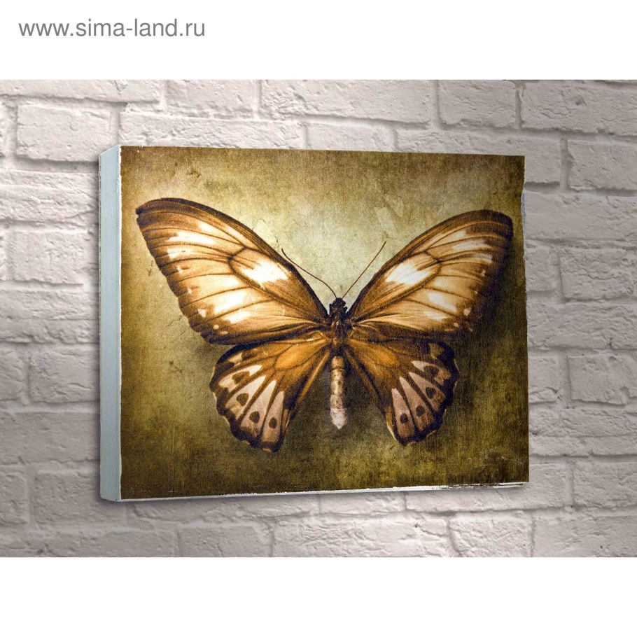 Картина бабочки