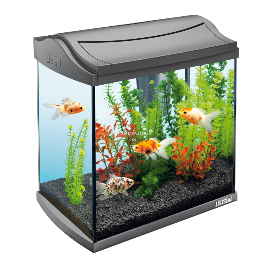 Аквариум Tetra 30л