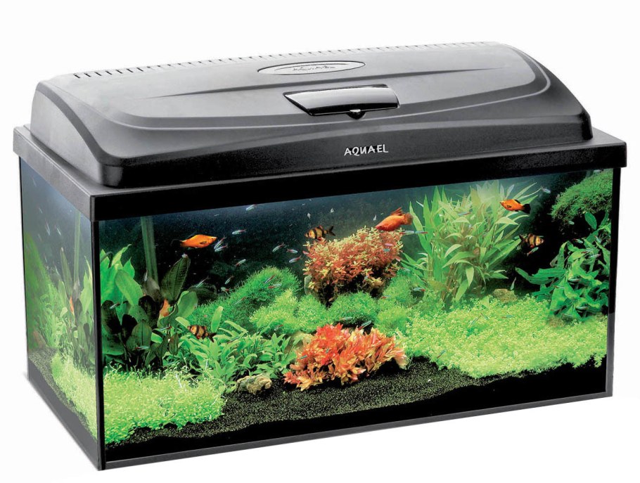 Аквариум Aquael 30 л
