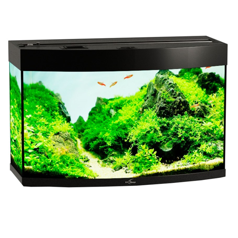 Аквариум Биодизайн панорама