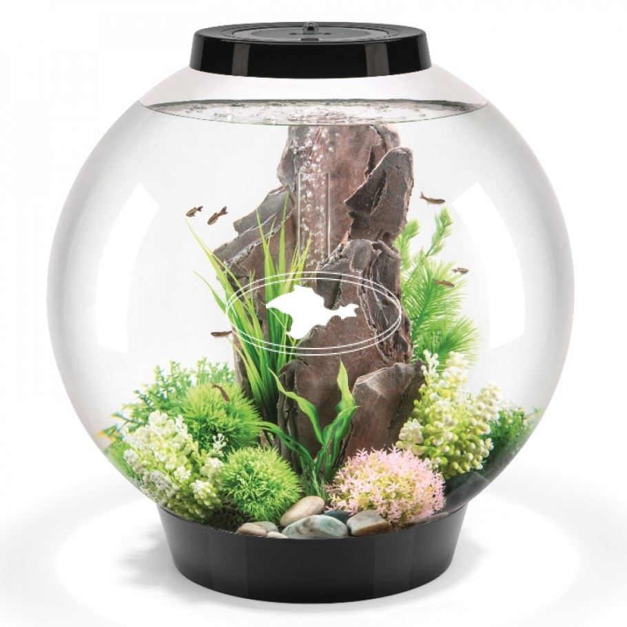 Oase BIORB Cube 60 led