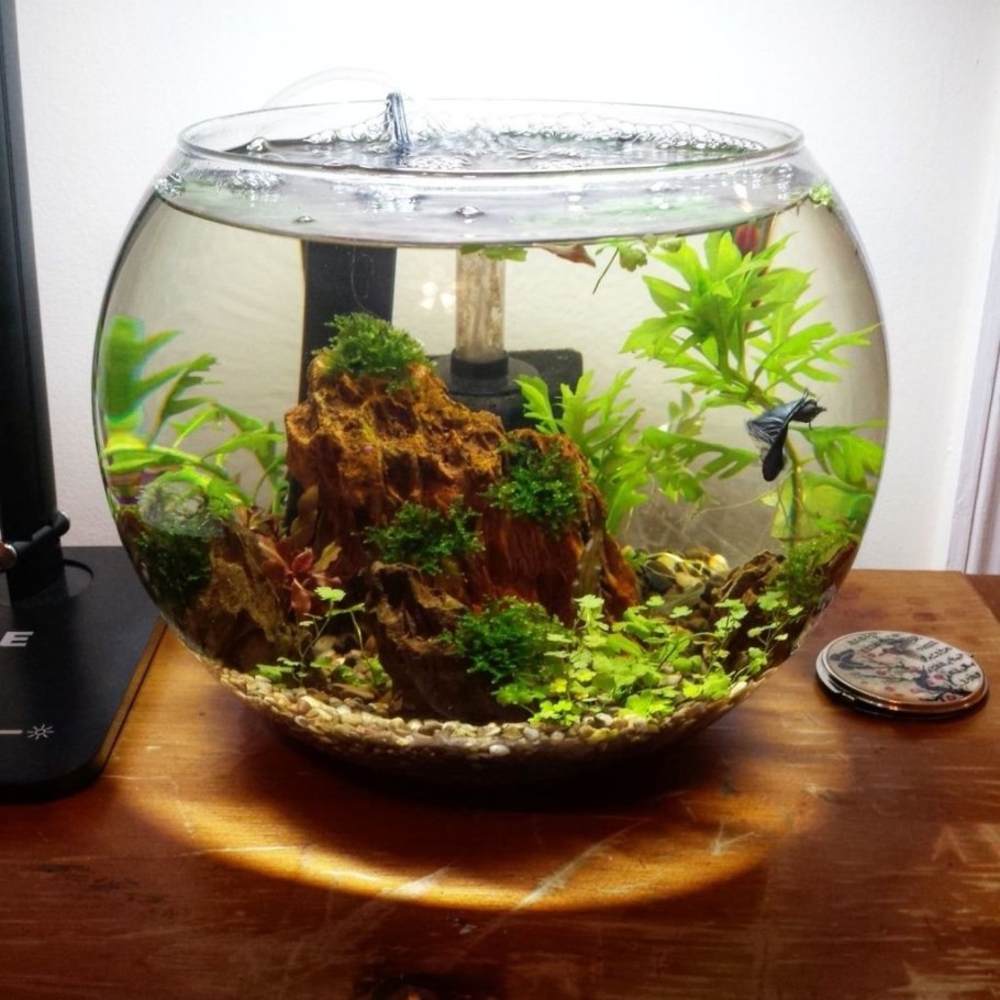 Аквариум круглый 20л