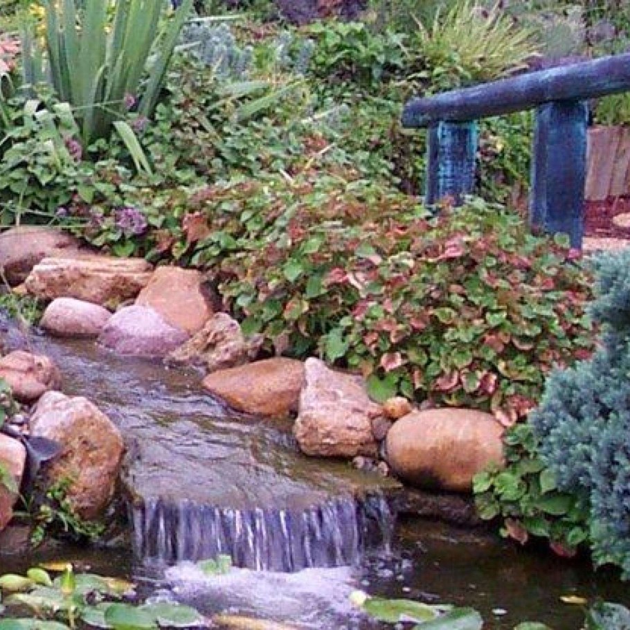 Хаутюния растение