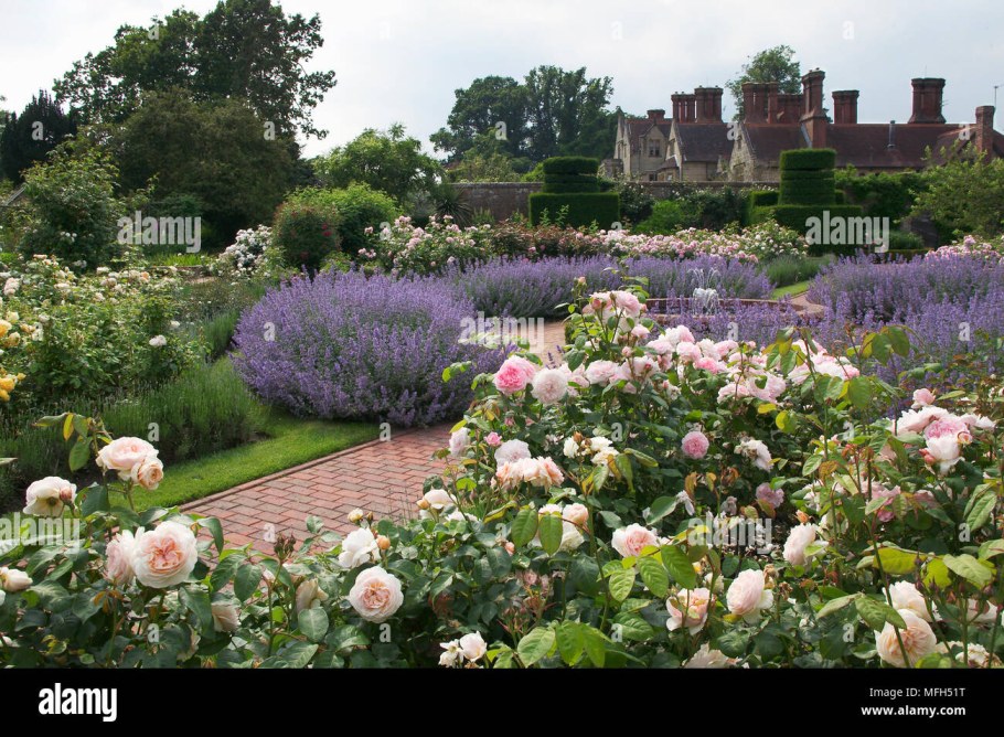 Инглиш Гарден (English Garden)