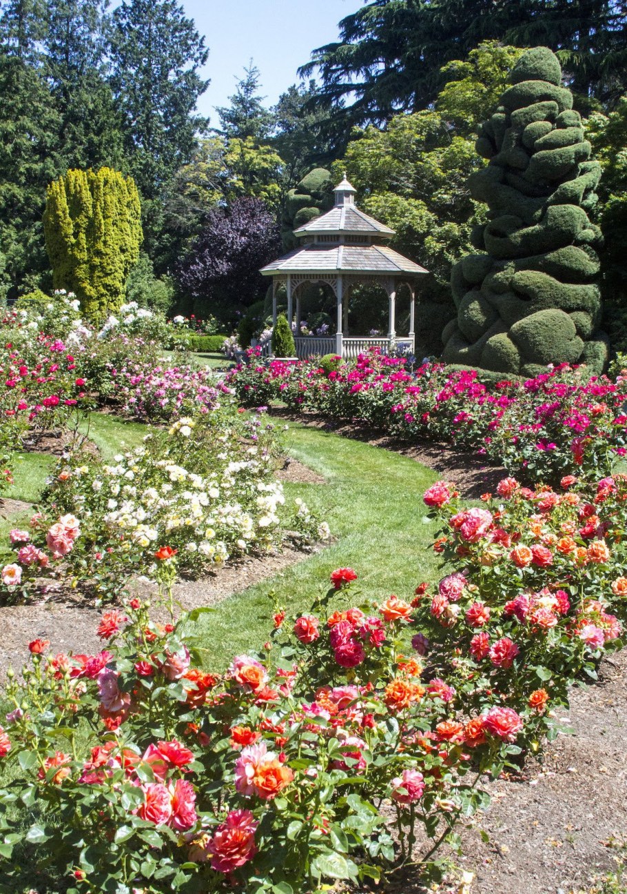 Роза Гарден Риджентс парк