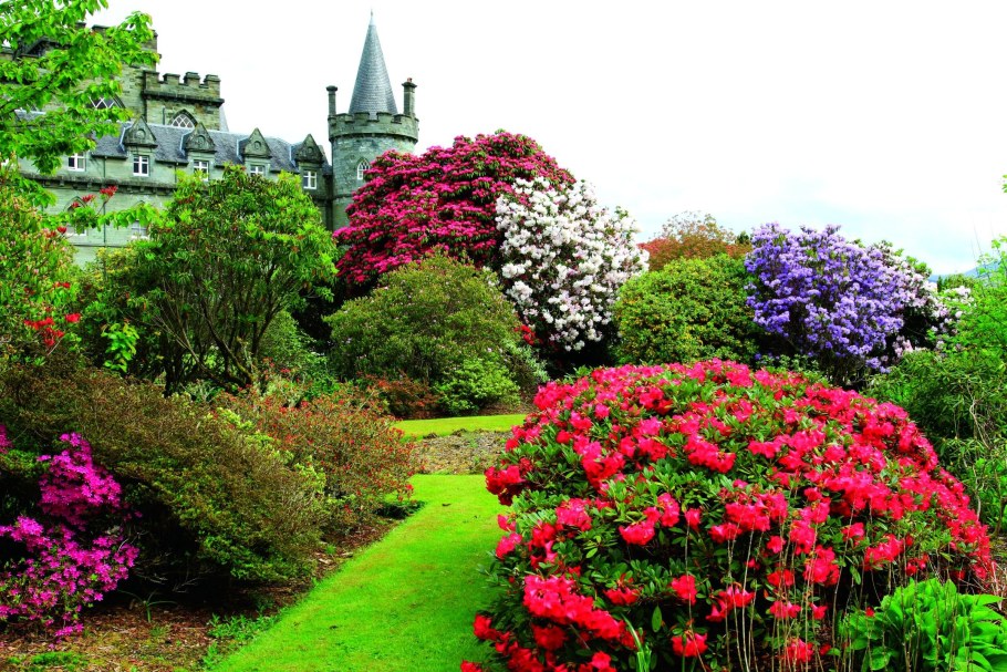 Сады Бутчартов розарий