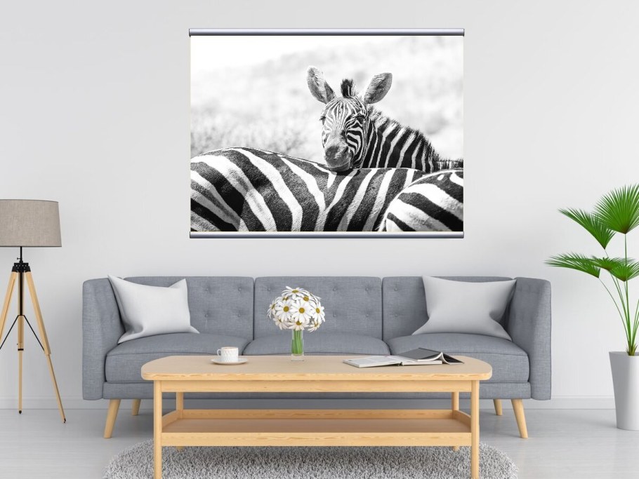 Картина Зебра в интерьере кухни