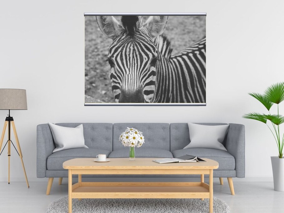 Интерьерная картина Зебра