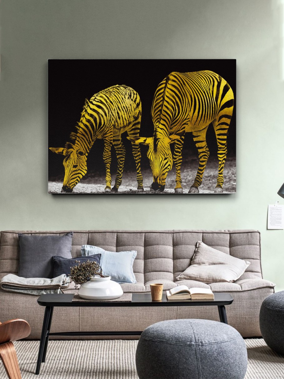 Шкура зебры в интерьере