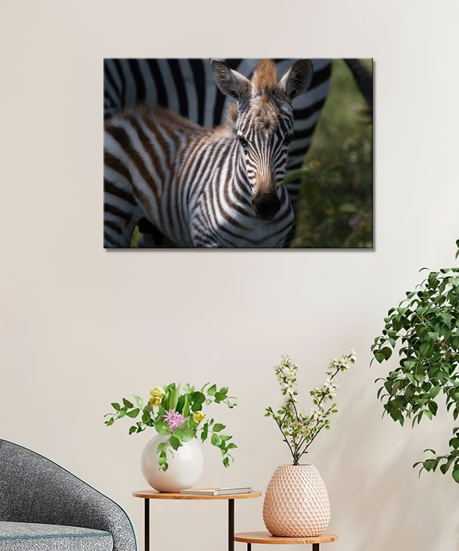 Картина Зебра в интерьере кухни